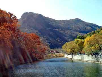 新澳天天开奖资料大全旅游团，巅峰神话